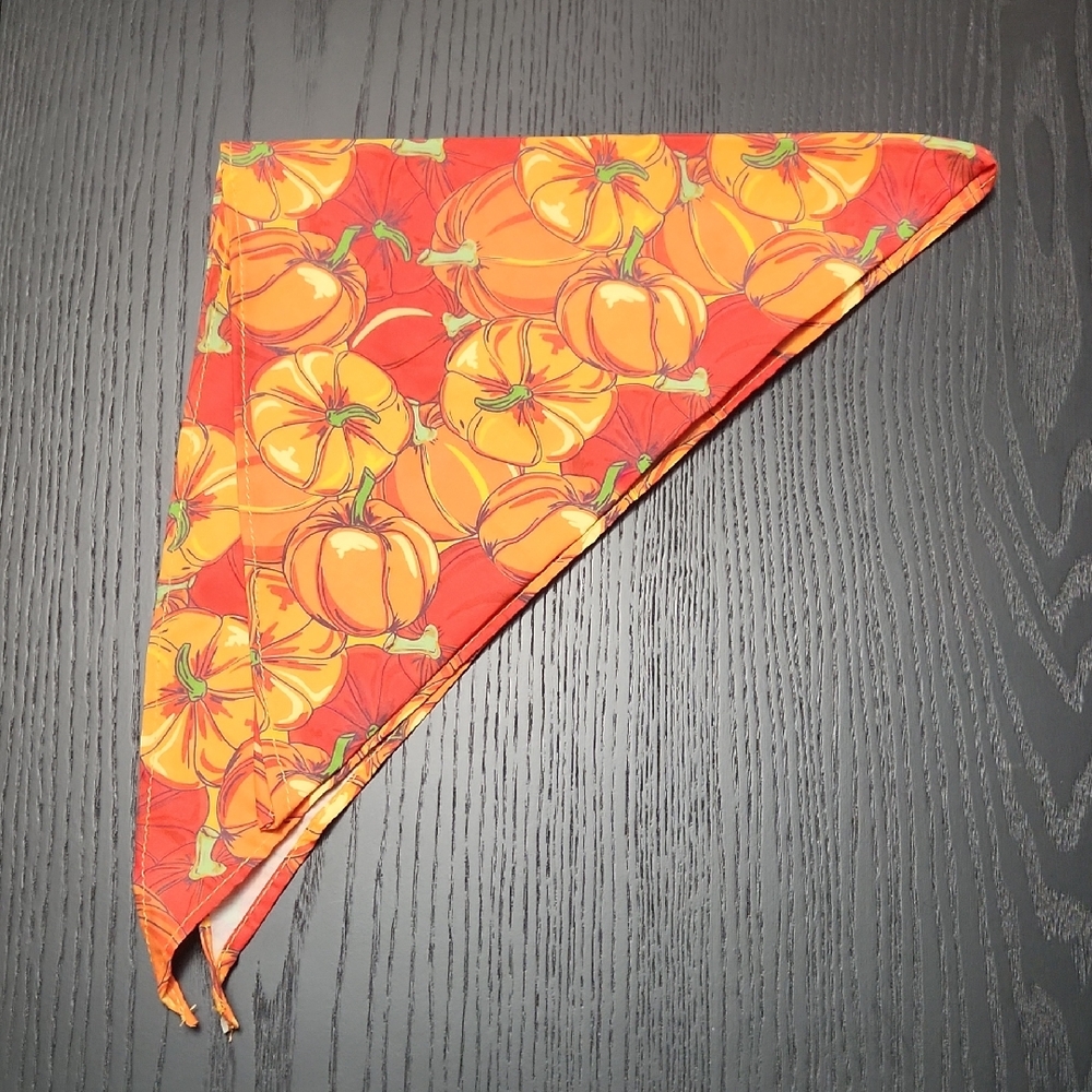 Harvest Festivities Pumpkin Pet Bandana